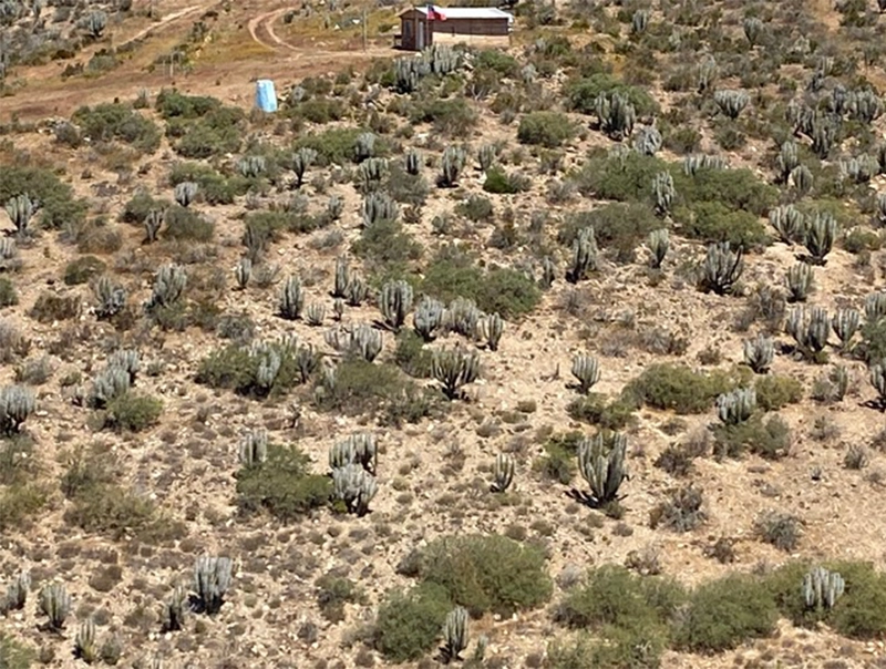 Terrenos en la serena