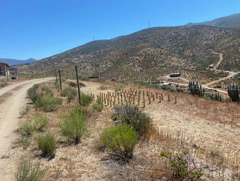 Terrenos en la serena
